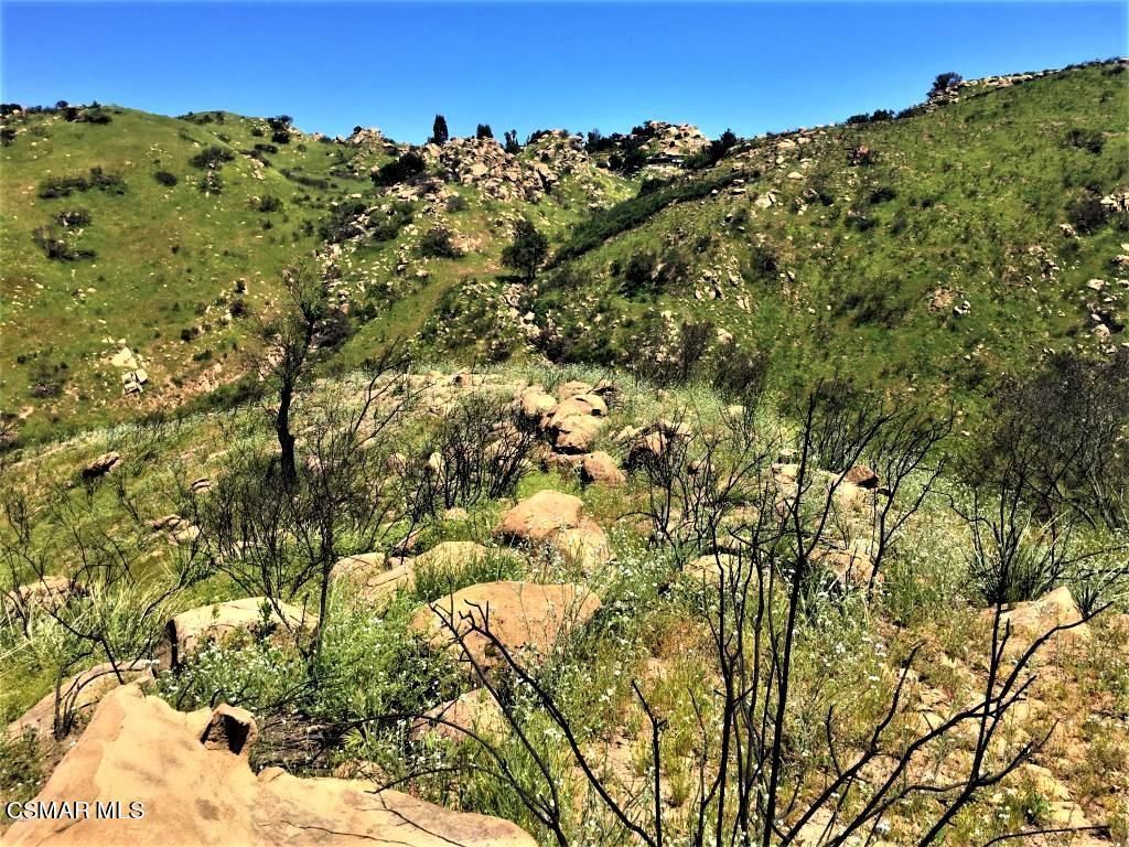 142 Saddlebow Rd, Bell Canyon, CA 91307